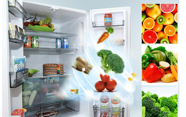 Các công nghệ tủ lạnh phổ biến hiện nay mà bạn nên biết trước khi mua > Công nghệ Ag Clean