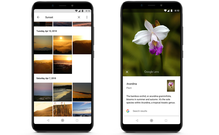 Hệ điều hành Android One là gì? Tìm hiểu lợi ích của Android One > Google Photos và Google Lens - Tìm hiểu về Android One