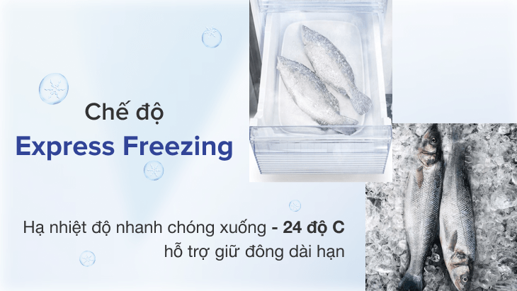Các công nghệ nổi bật trên tủ lạnh Sharp > Express Freezing