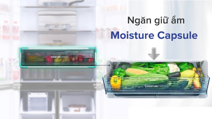 Ngăn giữ ẩm Moisture Capsule