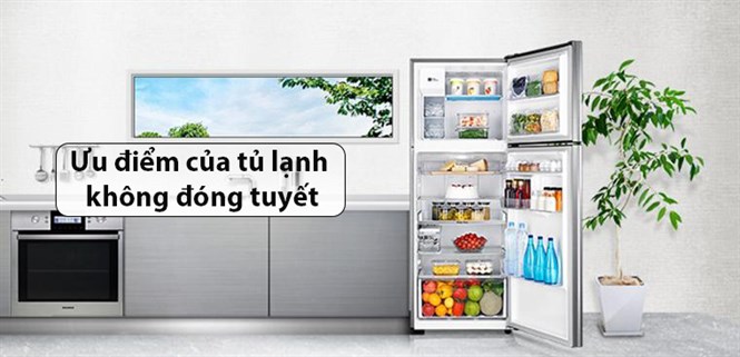 Ưu điểm của tủ lạnh không đóng tuyết bạn nhất định phải biết