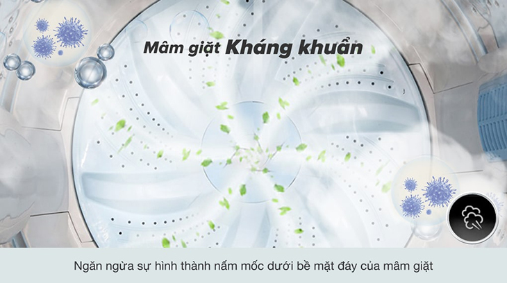 Mâm giặt kháng khuẩn