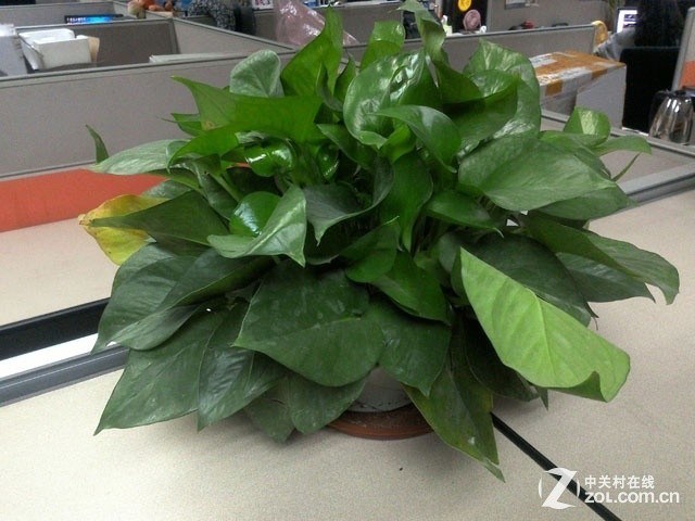 Chụp với điều kiện ánh sáng trong nhà