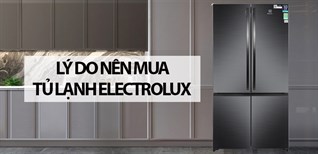 7 lý do nên mua ngay tủ lạnh Electrolux sử dụng trong gia đình