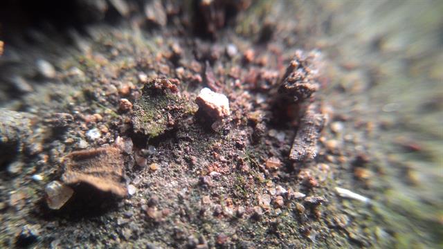 Chỉ là những hạt sỏi, đá li ti nhưng rất giàu cảm xúc