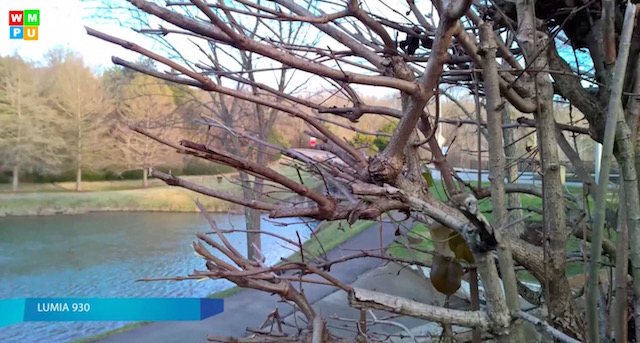 Ảnh chụp ban ngày