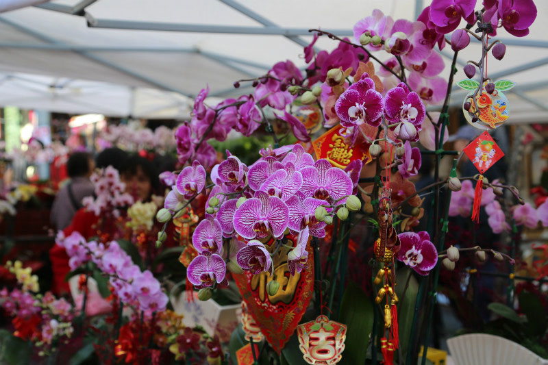 Choosing to buy fresh flowers for Tet will help them stay fresh longer