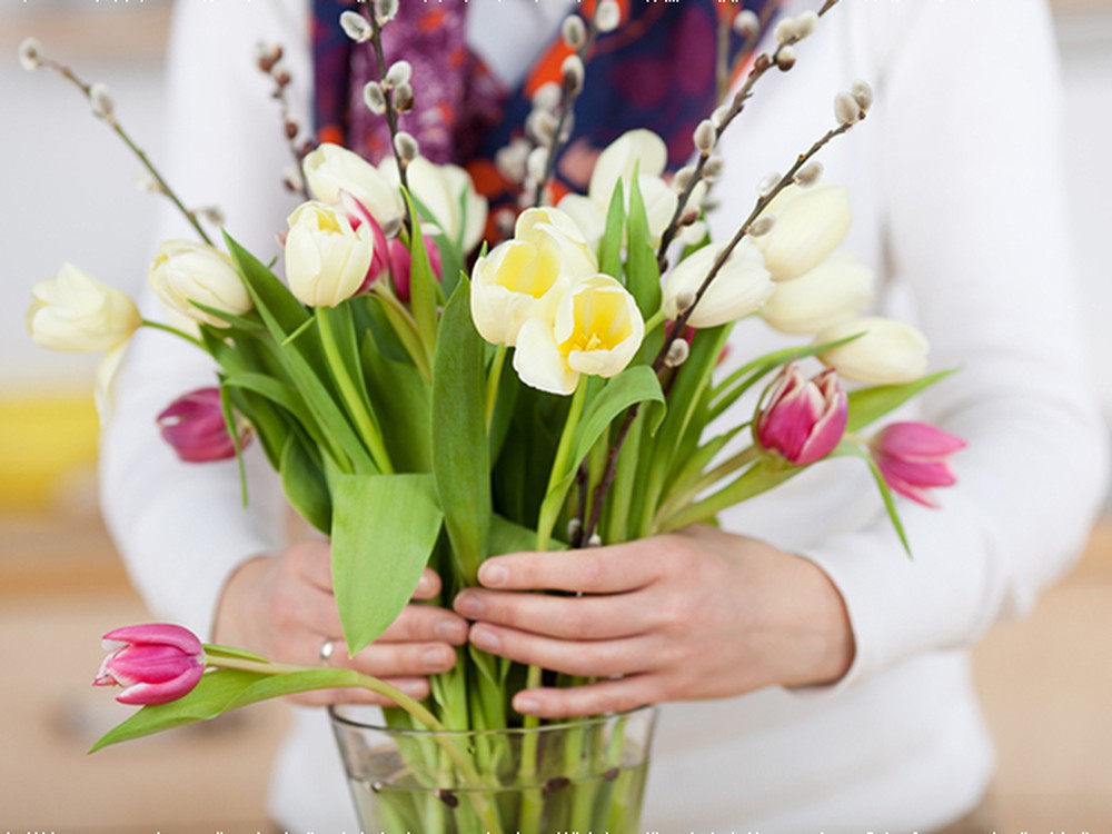 Chăm sóc hoa thường xuyên trong Tết sẽ giúp hoa lâu tàn
