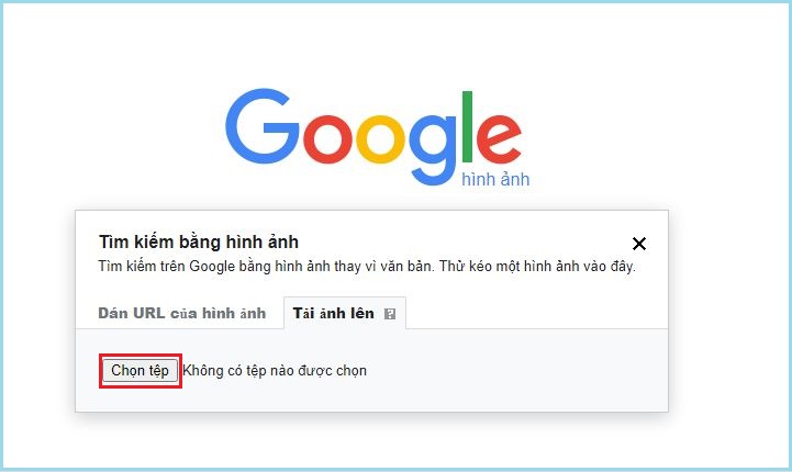 Top Với Hơn 58 Về Hình Ảnh Google - Cdgdbentre.Edu.Vn