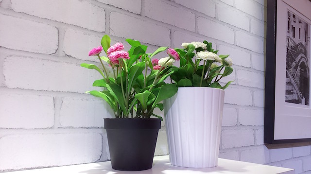 Ảnh chụp màn hình của Pegasus X002