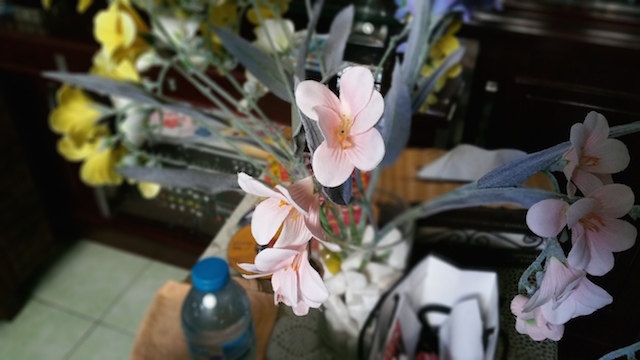 Khả năng xoá phông khá tốt