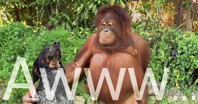 Hãy cùng nhau chung sống