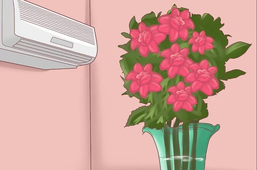 Bring flowers into an air-conditioned house to limit blooms