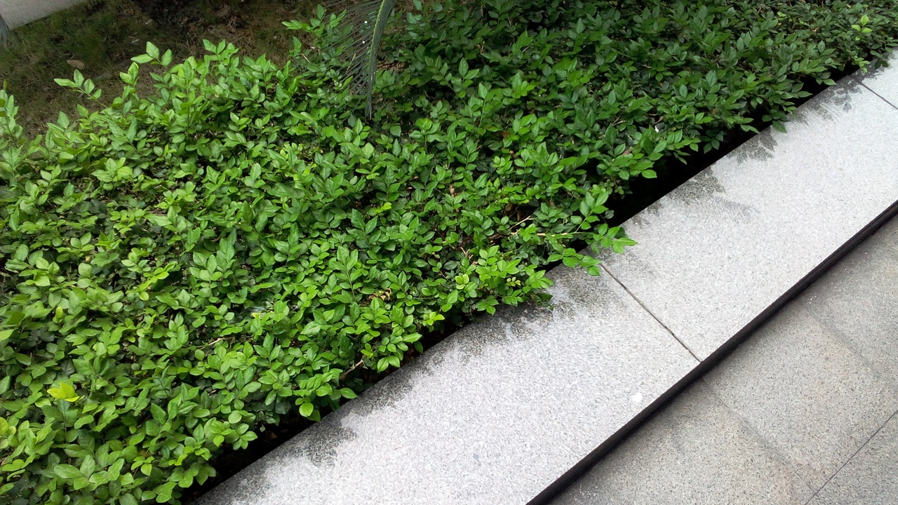 Camera Wiko Rainbow Camera Wiko Rainbow