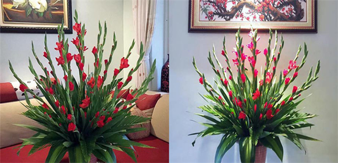 Mách bạn cách giữ hoa tươi lâu trong những ngày Tết