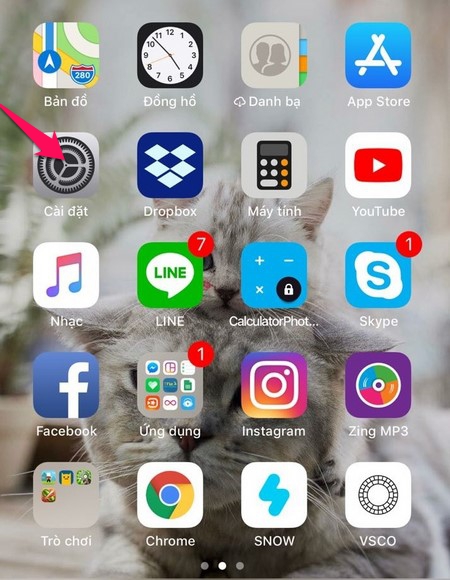 Bước 1: Trên iPhone, truy cập vài Cài đặt.