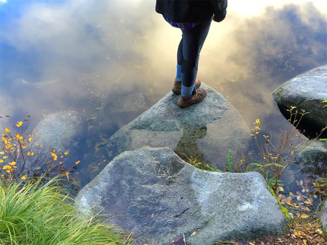 Một số ảnh đẹp được chụp từ iPhone 6 và iPhone 6 Plus