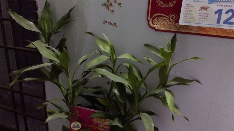 Camera HTC Desire 820Q