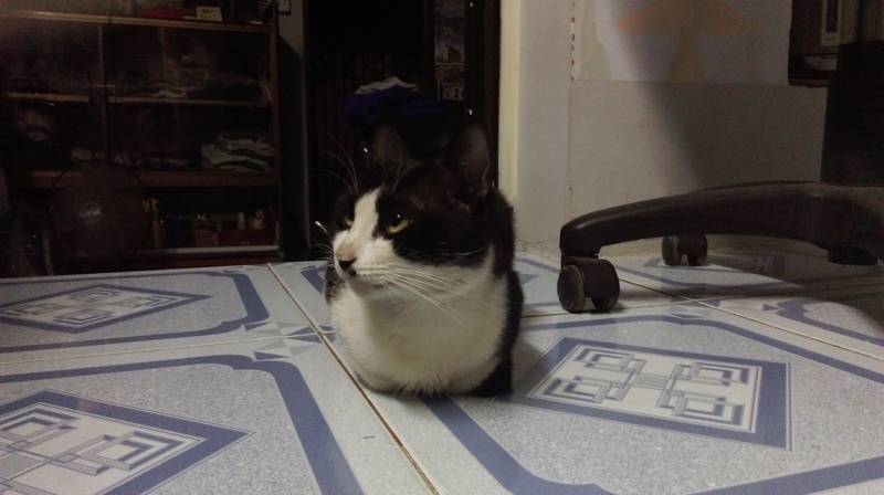 Camera HTC Desire 820Q