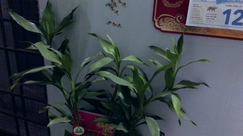 Camera HTC Desire 820Q