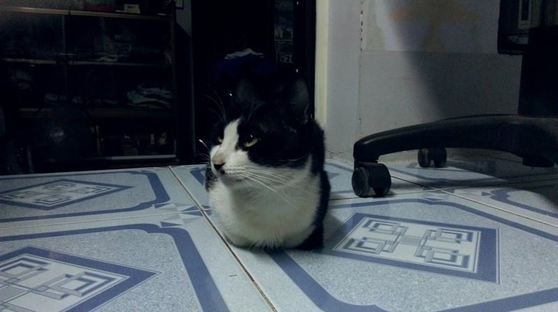 Camera HTC Desire 820Q