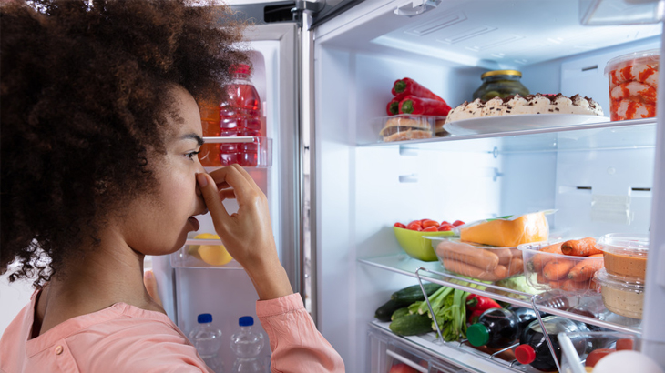 Dọn tủ lạnh trước khi đi xa dài ngày nếu không muốn tủ lạnh bốc mùi