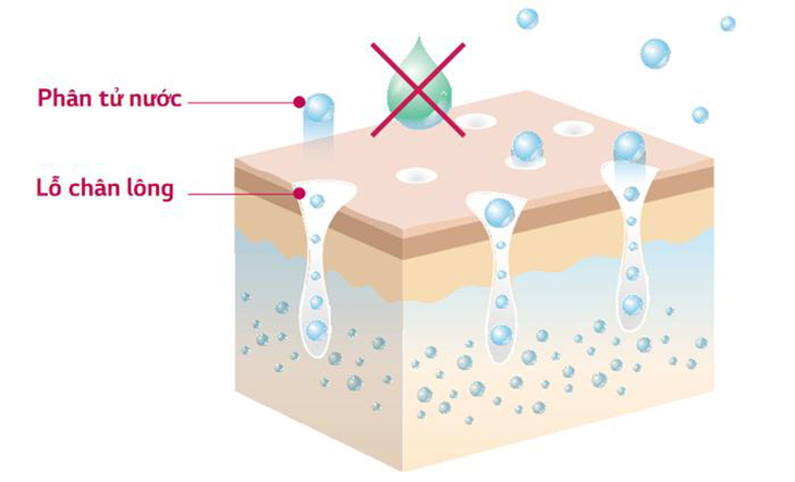 Phân tử nước nhỏ với kích thước 10~ 20nm dễ dàng hấp thụ qua lỗ chân lông có kích thước 30~50nm