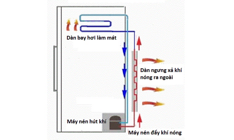 Cấu tạo của tủ lạnh