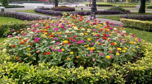 camera Philips S398 camera Philips S398