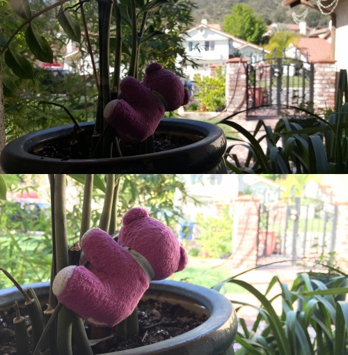 iphone 6 galaxy s6 camera 3 iphone 6 galaxy s6 camera 3