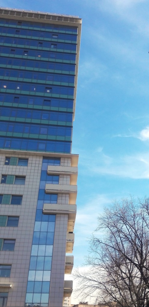 Ảnh chụp từ camera của Huawei Honor Cherry