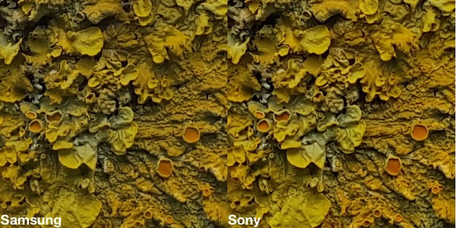 Loạt ảnh so sánh giữa cảm biến Sony và Samsung Loạt ảnh so sánh giữa cảm biến Sony và Samsung