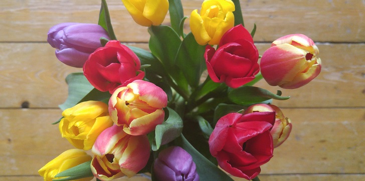 LG G4 camera ISO 200