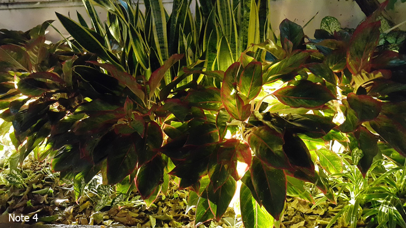 so-sanh-samsung-galaxy-note-4-va-iphone-6-25 so-sanh-samsung-galaxy-note-4-va-iphone-6-25