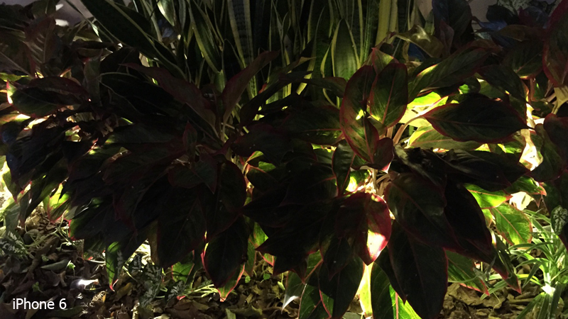 so-sanh-samsung-galaxy-note-4-va-iphone-6-26 so-sanh-samsung-galaxy-note-4-va-iphone-6-26