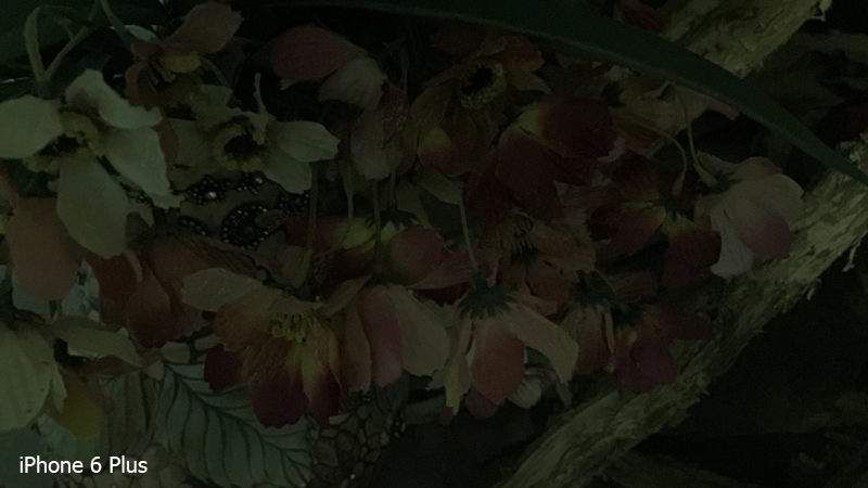 iphone-6-plus-camera-3