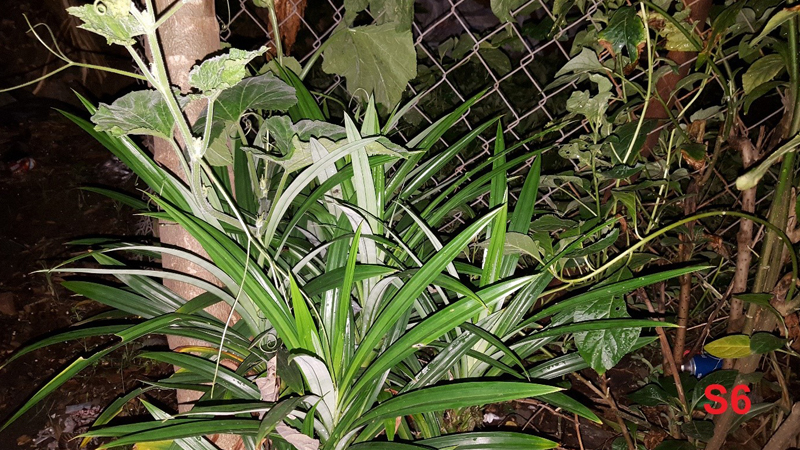 Galaxy S6 và Galaxy S6 Edge Galaxy S6 và Galaxy S6 Edge