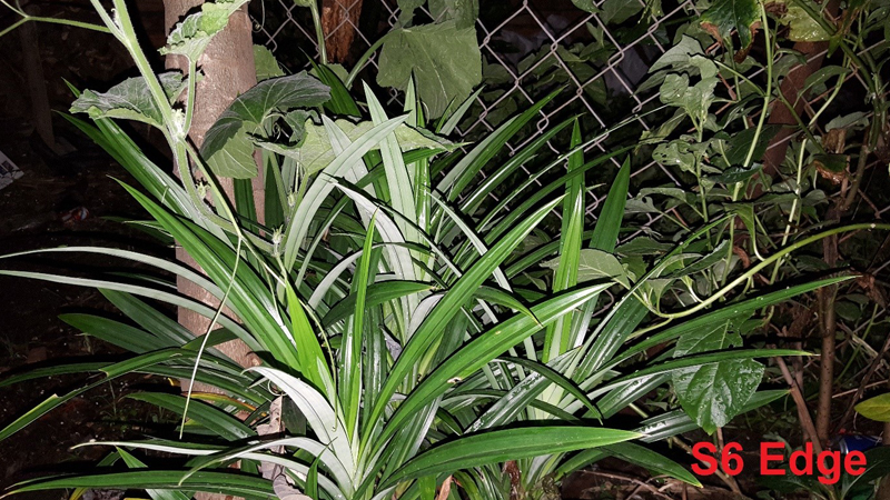 Galaxy S6 và Galaxy S6 Edge Galaxy S6 và Galaxy S6 Edge