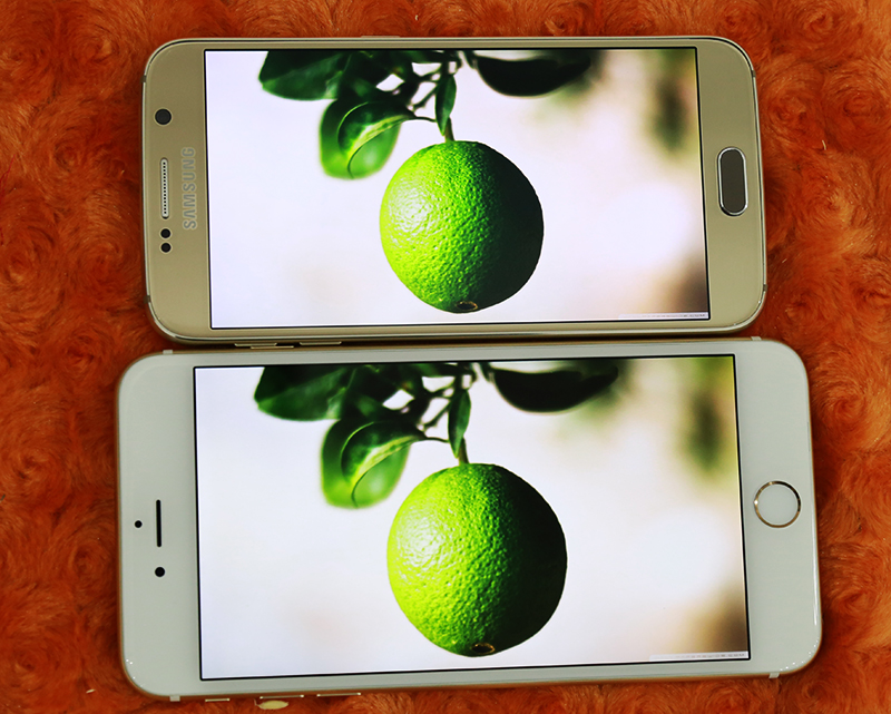 Galaxy S6 vs iPhone 6 Plus