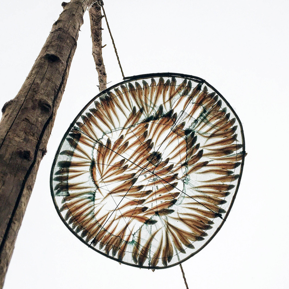 Bức ảnh dự thi của nhiếp ảnh gia Xu Lin Bức ảnh dự thi của nhiếp ảnh gia Xu Lin