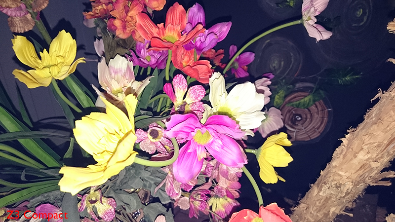 so sánh camera galaxy a7 và xperia z3 compact 8