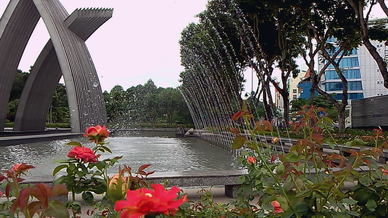 mor_2015-06-18-09-17-25