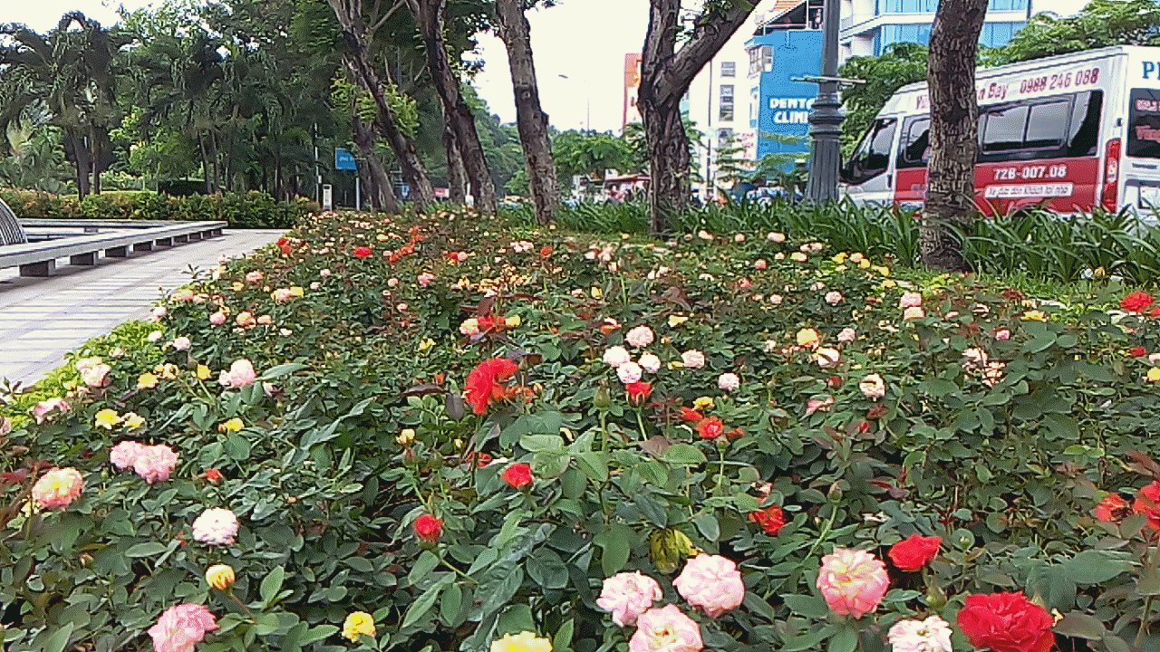 mor_2015-06-18-09-26-19