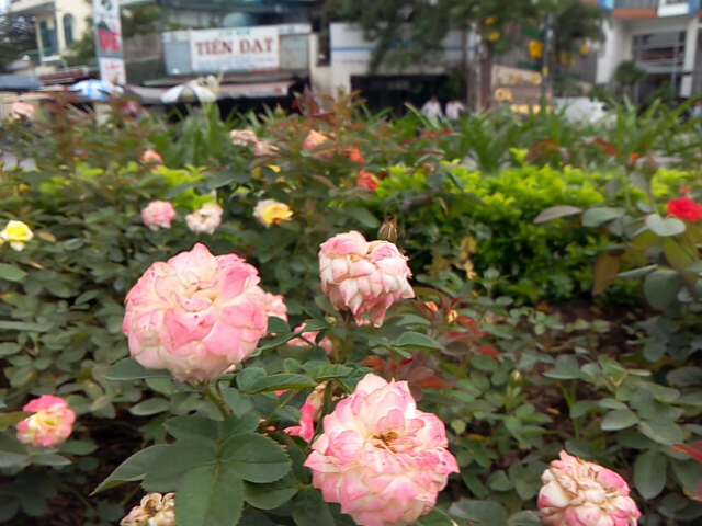 thanhquaobjecteraser