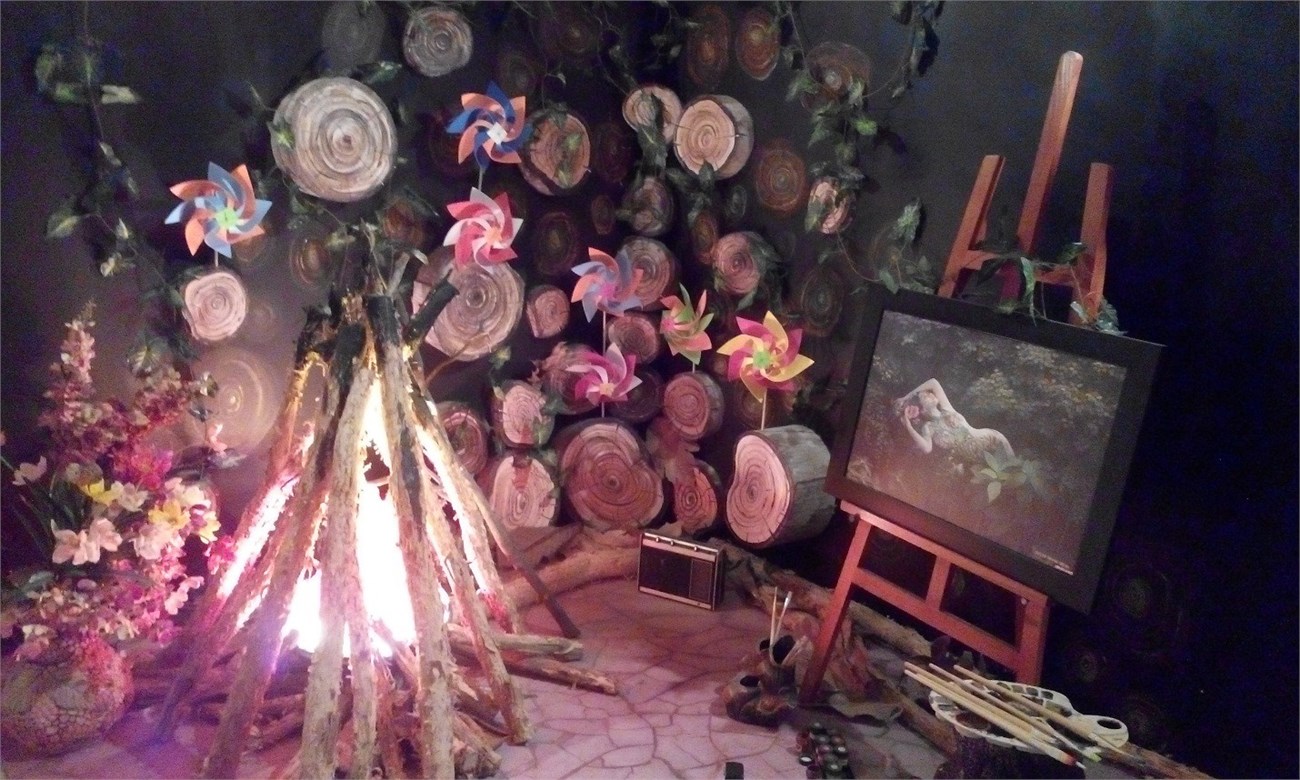 Camera sau Camera sau