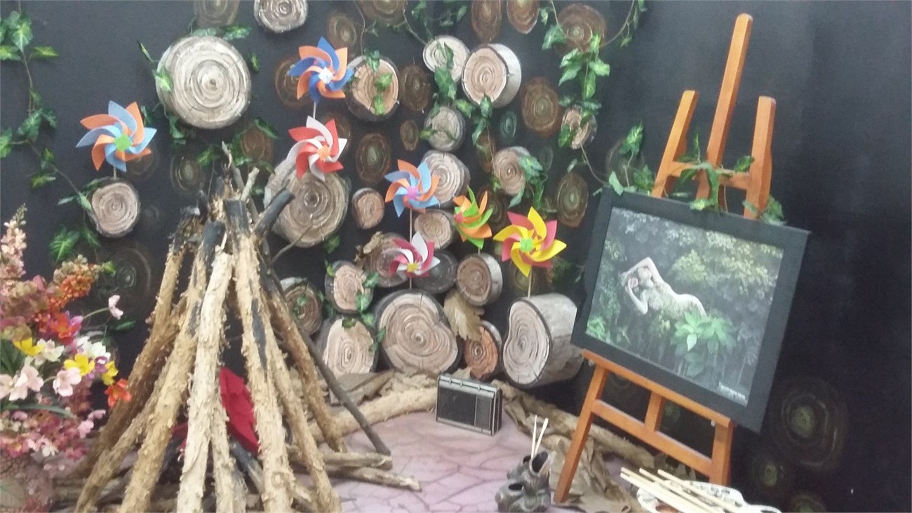 Trong điều kiện ánh sáng đủ