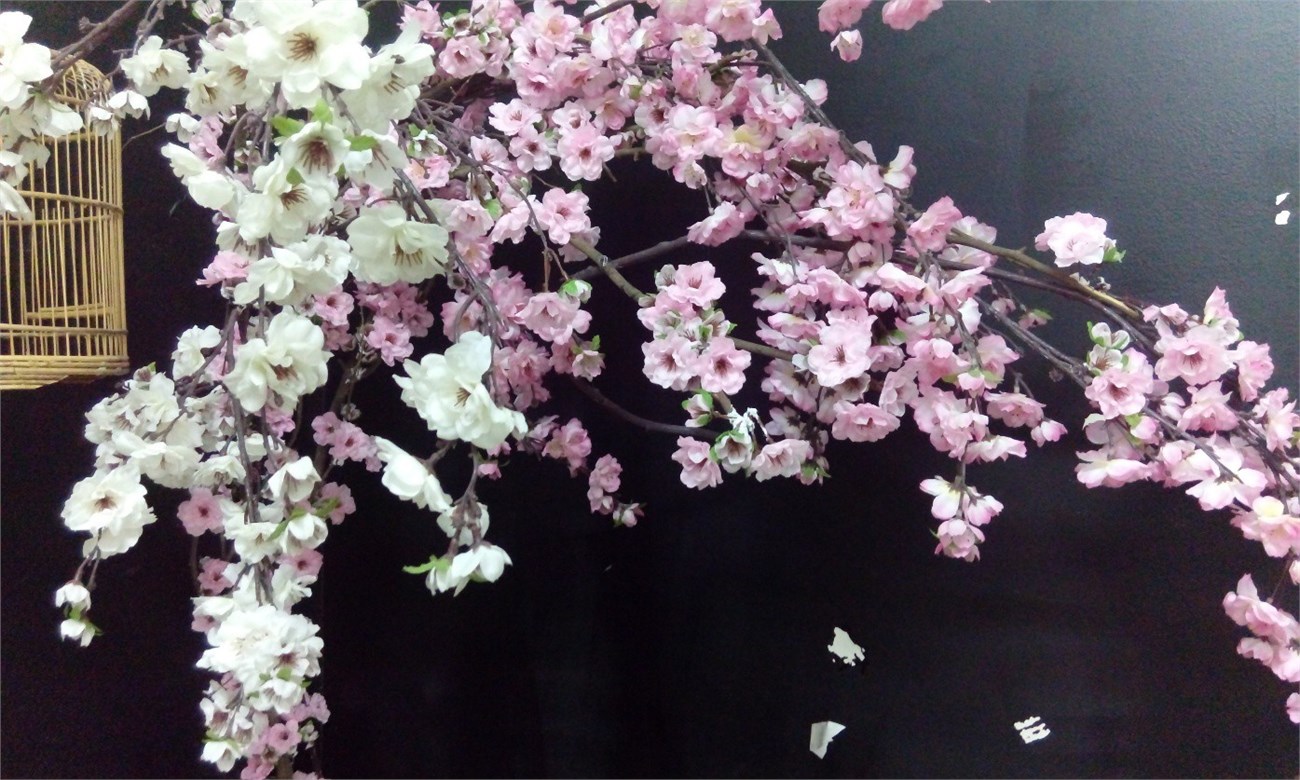 Trong điều kiện thiếu sáng, có thể thấy hơi bị nhiễu hạt (noise) trong bức ảnh