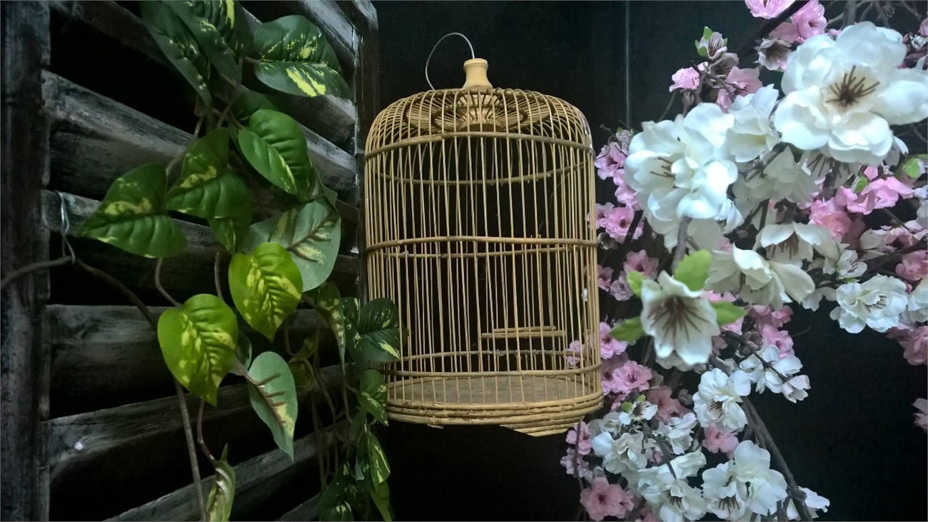 Ảnh chụp trong phòng