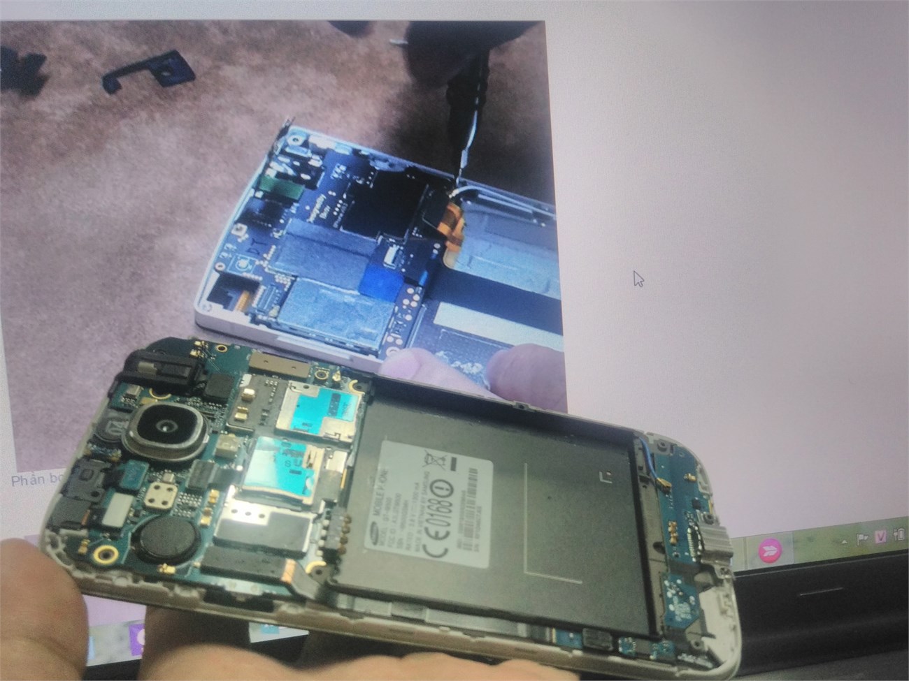 img_20150623_173406 img_20150623_173406