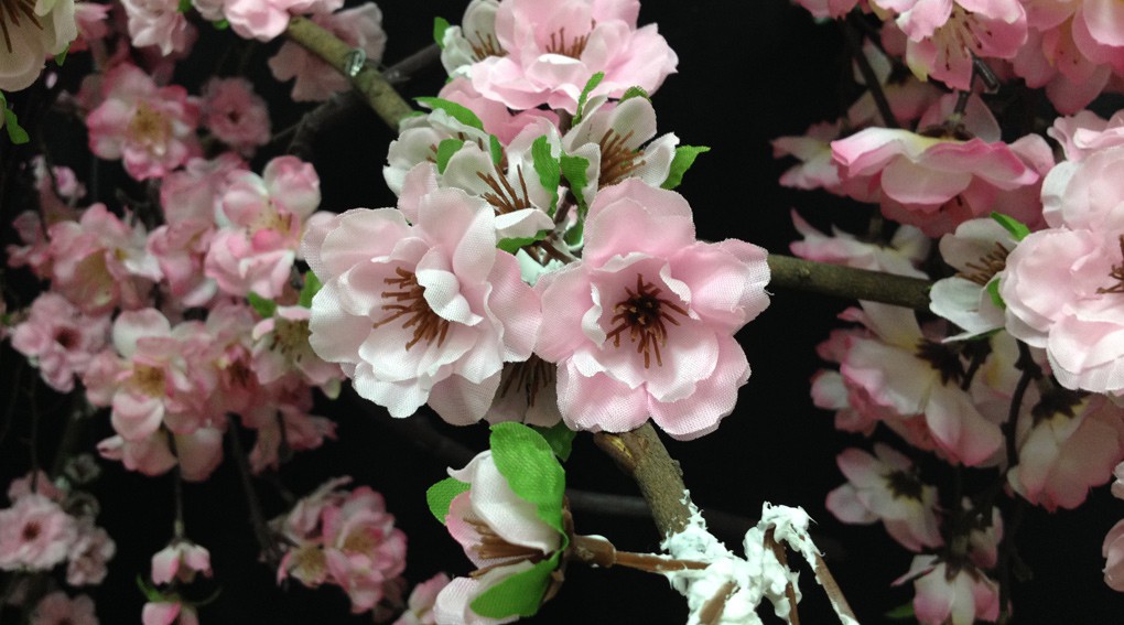 Trong điều kiện không có sáng và đánh Flash